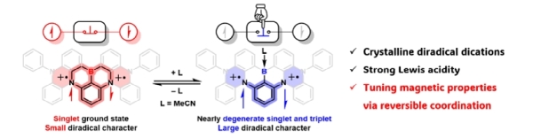 Graphical Abstract Image.jpg